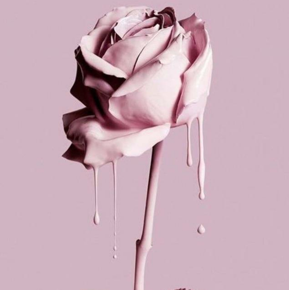 Meet your Posher, Eileen